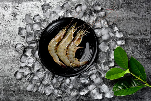 海捕虾和养殖虾的区别 海捕虾的营养价值