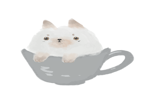 茶杯猫多少钱一只 茶杯猫能活多久