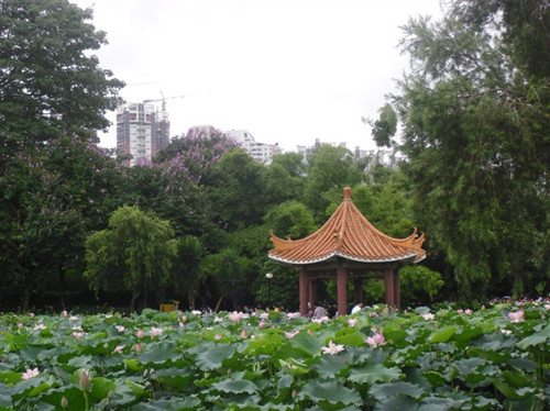 深圳值得一去的公园有哪些 这几个必去