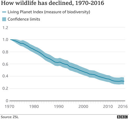 近50年来全球野生动物数量减少逾三分之二