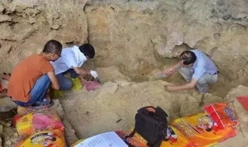 广西发现16000年前人头骨化石 还有这些惊人发现