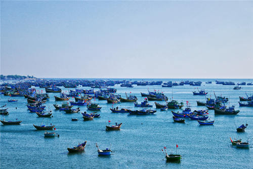 2021深圳远洋渔业专项资金申请指南