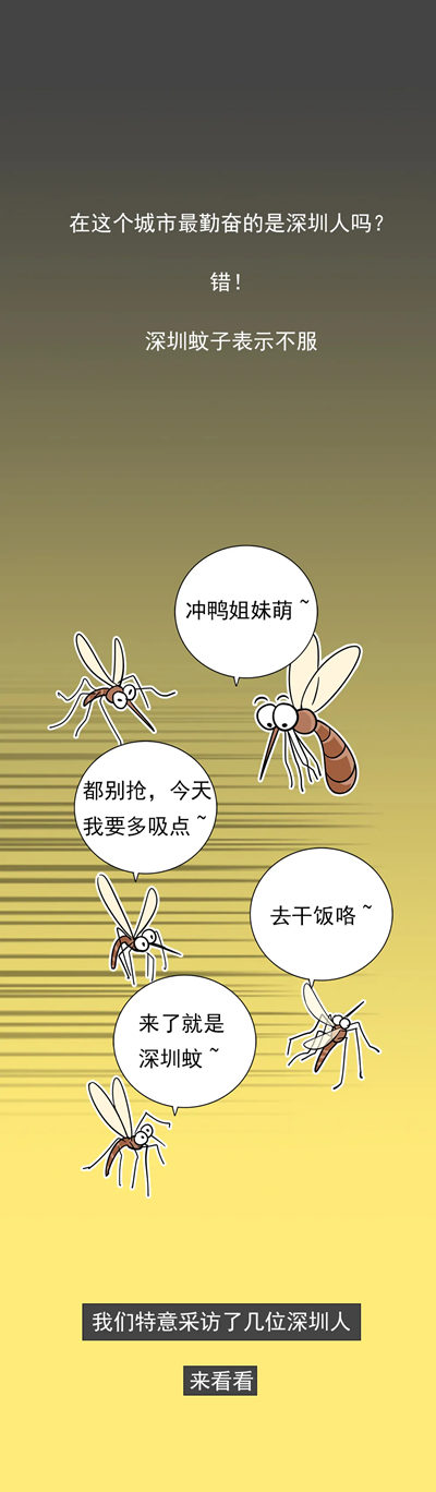 被蚊子和蟑螂支配的恐惧，深圳人的夏天太绝望了！