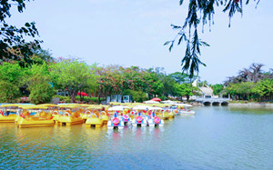 深圳海上田园可以划船吗 划船收费吗