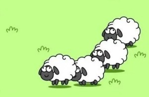 羊了个羊12.7怎么过关 羊了个羊12月7日通关攻略