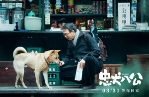 中国版《忠犬八公》是根据什么电影改编的 故事原型是谁