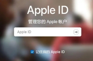 苹果忘记apple id密码怎么找回密码